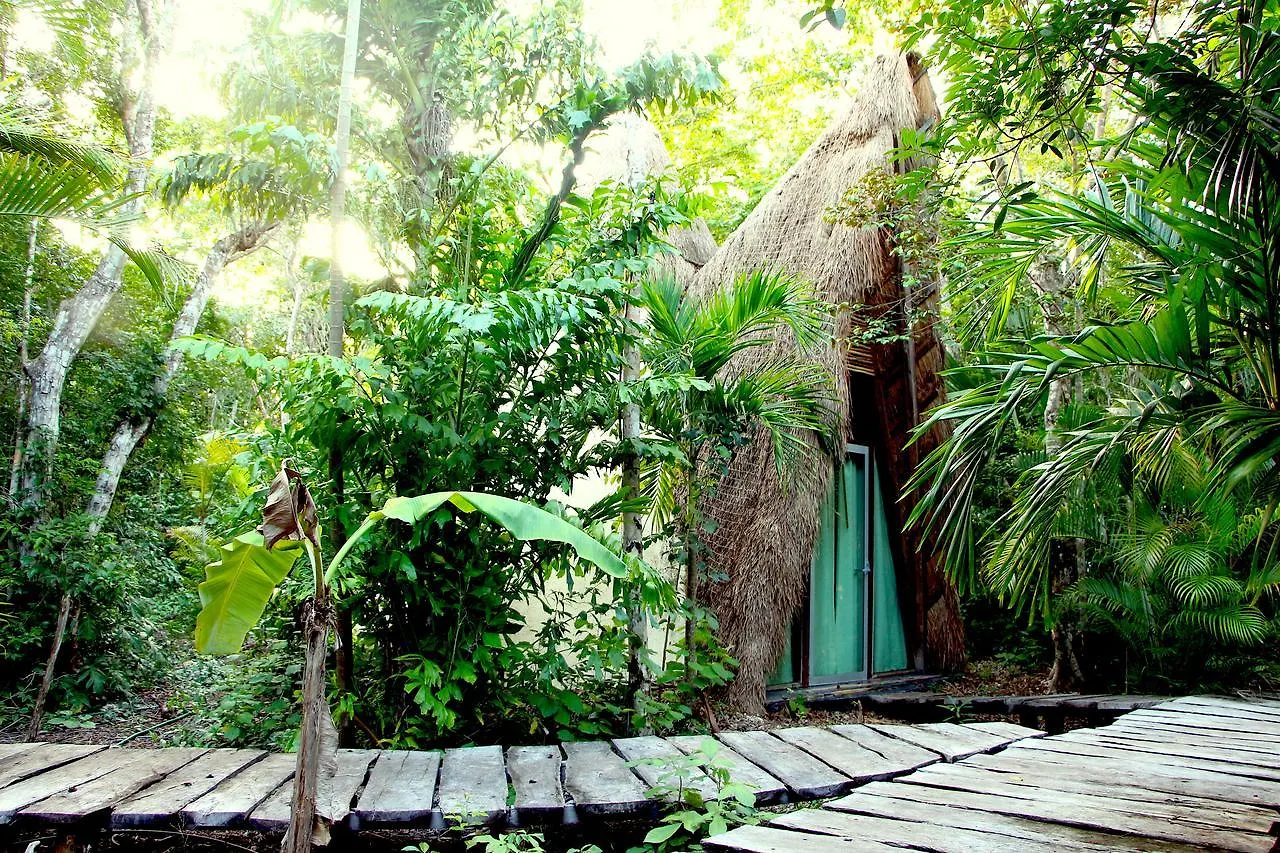 Ozen Resort Playa del Carmen