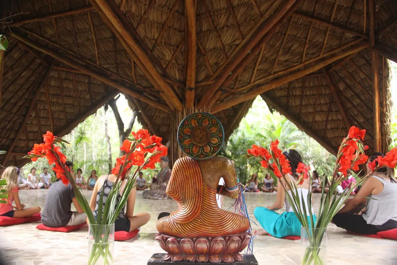 Ozen Resort Playa del Carmen